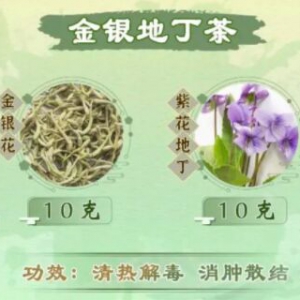 20230407健康之路,詹志来,王雪茜,苦味野菜,蒲公英,紫地花丁,败酱草