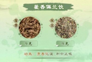 20230430健康之路,詹志来,赵鲁卿,薄荷,藿香,紫苏,辛味药材