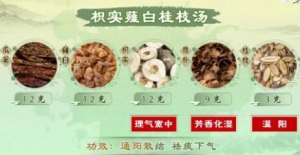 20230503健康之路,吴向红,詹志来,瓜蒌薤白白酒汤,枳实薤白桂枝汤,甘草干姜汤,姜葱饮,橘皮汤