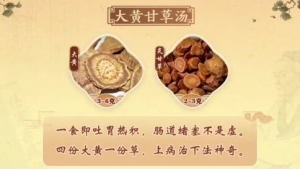 20230901健康之路,经方,甘草汤,桔梗汤,甘草干姜汤,桂枝甘草汤,大黄甘草汤