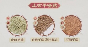 20231125健康之路,郭凯,儿童湿疹,复方苓榆洗剂,哮喘,麻杏石甘汤,慢性腹泻,止咳平喘贴