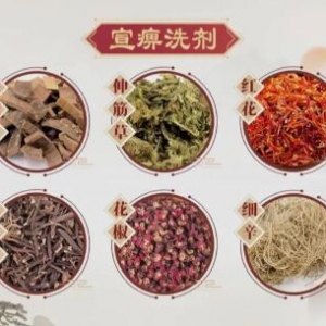 20231126健康之路,展嘉文,骨科病,踝部积液,宣痹洗剂,五十肩,接骨续断汤,髋关节