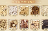 20240510健康之路,张景明,慢性腹泻,紫苏二米粥,参苓白术散化栽方