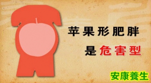 养生堂20130816视频:杨金奎讲糖尿病,中心型肥胖,减肥