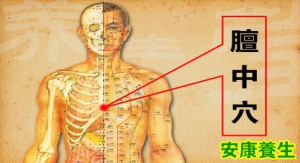 20130826养生堂视频和笔记:《一招三式强五脏－3》付国兵讲肝气郁结,调理肝郁,膻中穴
