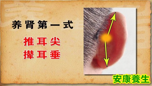 养肾第一式