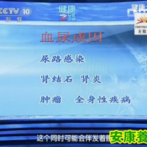 健康之路20130814视频:郑红光讲肾损伤,夜尿频多,憋尿,血尿