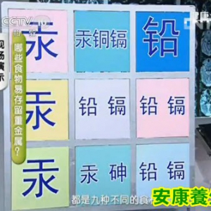 健康之路20130815:陈伟讲肾损伤,控盐,高盐食品,重金属