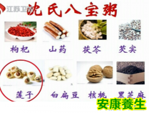 万家灯火20130828 沈绍功 沈宁：沈氏祖传养生秘方 家传冬季养生方（沈氏八宝粥 归肉粥 ...