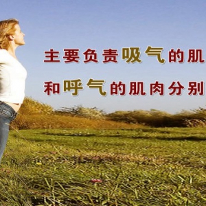 20130901养生堂视频和笔记:《动静皆宜，过犹不及——2》励建安讲呼吸系统疾病,呼吸,咳 ...