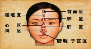 养生堂视频:翁维良,龚洪海讲心梗常见的诱发原因 心梗的临床表现 气虚血瘀的症状