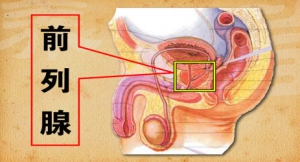养生堂视频和笔记:夏术阶讲威胁老年男性健康的杀手 前列腺增生会有哪些症状 排尿困难