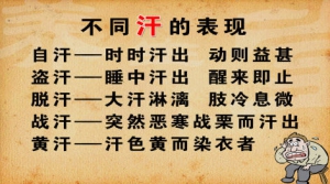 养生堂视频和笔记:王显讲自汗,盗汗,风性开泄,高血压