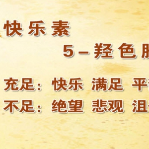 养生堂视频:贾竑晓讲抑郁的发病原因 5-羟色胺的作用 食物中的脑黄金是什么