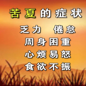 养生堂视频:王玉光讲苦夏的症状 署伏对人的影响 热射病的主要特征