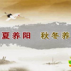 养生堂20130612王凤岐 高巍：巧过端午 平安一夏(3)雄黄酒，养阳补气药酒配方