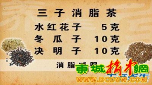 养生堂20130514王耀献： 三子消脂茶 通气化痰汤 三参饮 脏腑不通 血脉不通 通腑宣肺