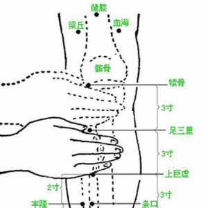 养生堂20130510李乾构：胃病的症状 胃炎,胃食管反流,芡实,肝郁