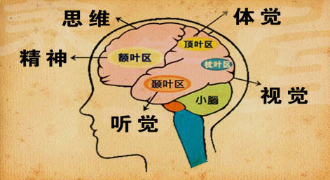 养生堂视频20130509栾国明：突然晕厥跌倒的原因 癫痫的表现