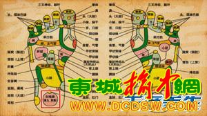 养生堂20130507韩洪：讲解足跟痛、肾精亏虚方面的问题