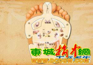 养生堂20130506韩洪：糖尿病 家庭足部保健方 足趾保健法