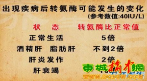 养生堂20130504魏来：转氨酶升高 药物性肝损伤 氨酶升高的药物