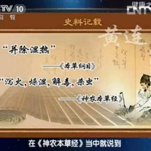 健康之路视频:宋坪讲中医治脚气 足癣 黄连素 角化型脚气