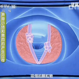 健康之路视频:徐振明讲声音嘶哑的原因 缓解声音嘶哑的方法 喉癌