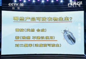 健康之路视频:曾晓芃讲黑皮蠹 樟脑球 防驻剂 蝶蝇