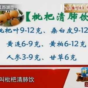 万家灯火视频:赵进喜讲青春痘 黄褐斑 痤疮的常用药方 盆腔淤血综合症 知柏地黄丸 枇杷 ...