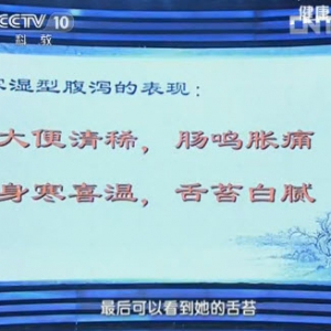 健康之路视频笔记:陈延讲腹泻的原因 表现 寒湿型腹泻 湿热型腹泻的表现  野菜治疗湿热 ...