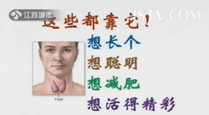江苏卫视20130918万家灯火视频：刘绪舜讲甲状腺,甲状腺功能减退