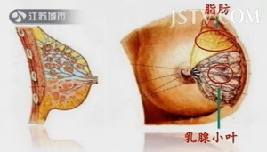 万家灯火20130919视频:刘绪舜讲乳腺的功能 乳腺纤维瘤 乳腺增生的症状 乳房自检