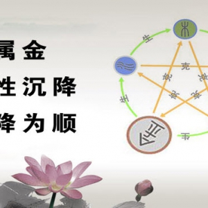养生堂20130924视频:杨道文讲咳嗽 气机上逆的症状 宣肺气 吃生姜的好处