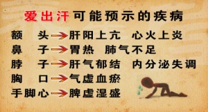 养生堂20130925视频:杨道文讲出汗到底好不好 出汗预示的疾病 肺气虚的表现 花参老鸭汤