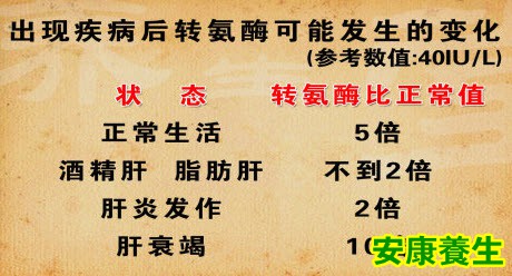 转氨酶