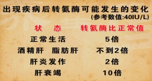 养生堂20130420视频:魏来讲疾病后转氨酶发生的变化 三七和土三七的区别 药物性肝损伤