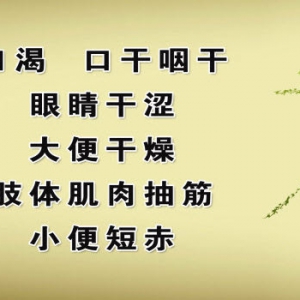 养生堂20130416视频:叶京英讲津液丢失 津液亏损自测 腿抽筋 中芍药甘草汤