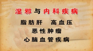 养生堂20130412视频:刘景源 刘宁讲湿邪与内科疾病的关系 湿邪饮食及用药禁忌 三仁汤