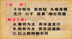 养生堂20130411视频:刘景源 刘宁讲什么是寒包火 什么是辛平表散法