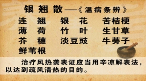 养生堂20130410视频:刘景源 刘宁讲辛凉解表与辛温解表的区别 风热袭表证