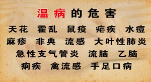 养生堂20130409视频:刘景源 刘宁讲温病的危害 温病的预防 辛温解表法 表寒证的症状 辛 ...