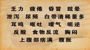 养生堂20130406视频:傅延龄讲气机升降失常的症状 桔梗的药用功效 生姜降胃气