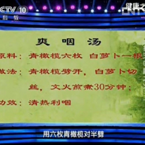 健康之路20130926视频:朱佳讲嗓子疼 咽喉肿痛 哪些食物能清肺火 脾胃虚寒 胃火的表现