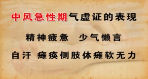 养生堂20130927视频高颖讲中风的高危因素、脑中风的先兆、益气化瘀汤、复元通络液