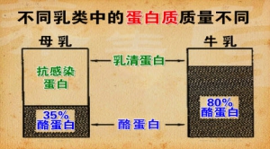 养生堂20130930视频:戴耀华 王山米讲什么是初乳、母乳喂养的好处、母乳喂养的窍门