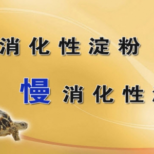 养生堂20131001视频:于康讲易发胖的食物有哪些、什么是一口效应
