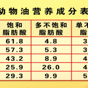 养生堂20131003视频:于康讲如何摄取饱和脂肪酸才健康、好脂肪、坏脂肪、烟点
