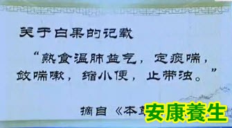 白果
