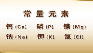 养生堂20131005视频:于康讲补钙的重要性、常量元素、微量元素、酸奶的食用法则